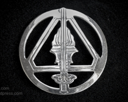 1955 pattern Vietnamese National Army beret badge for enlisted ranks. Locally made. Collection: Julian Tennant