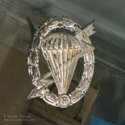 Badge of the 1st Reconnaissance Squadron "F",  more commonly referred to as "F" Squadron.