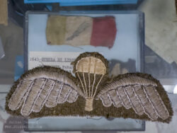 Locally made British parachutist wing and in the background, the identifying insignia of the Folgore Combat Group.