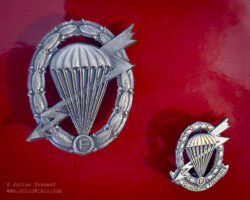 Squadron "F" badges donated by the Commanding Officer of the unit, Gen. Francesco Gay
