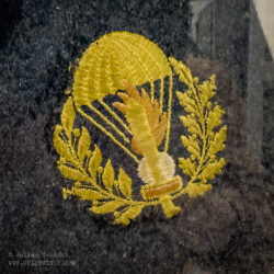 Italian Socialist Republic (RSI) Air Force Parachutist Badge.