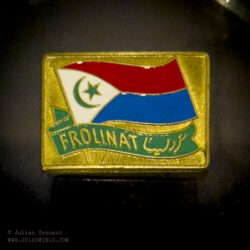Front de libération nationale du Tchad (FROLINAT) insurgent group badge. French Foreign Legion Museum Aubagne Musée de la Légion Etrangère