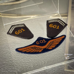 Collar and sleeve badges of the pre-war 601e Groupe d'Infanterie de l'Air (GIA) based at Reims. Musée Mémorial des Parachutistes