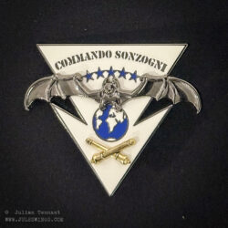 Insignia of the Parachute Commando Group (GCP) of the 35th Parachute Artillery Regiment.